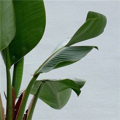 又一起爆炸,这次发生在得克萨斯州,或将推高你的汽油价格