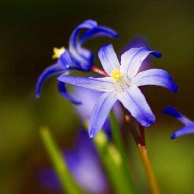 千万别忽视！猝死前，身体会发出“求救信号”！